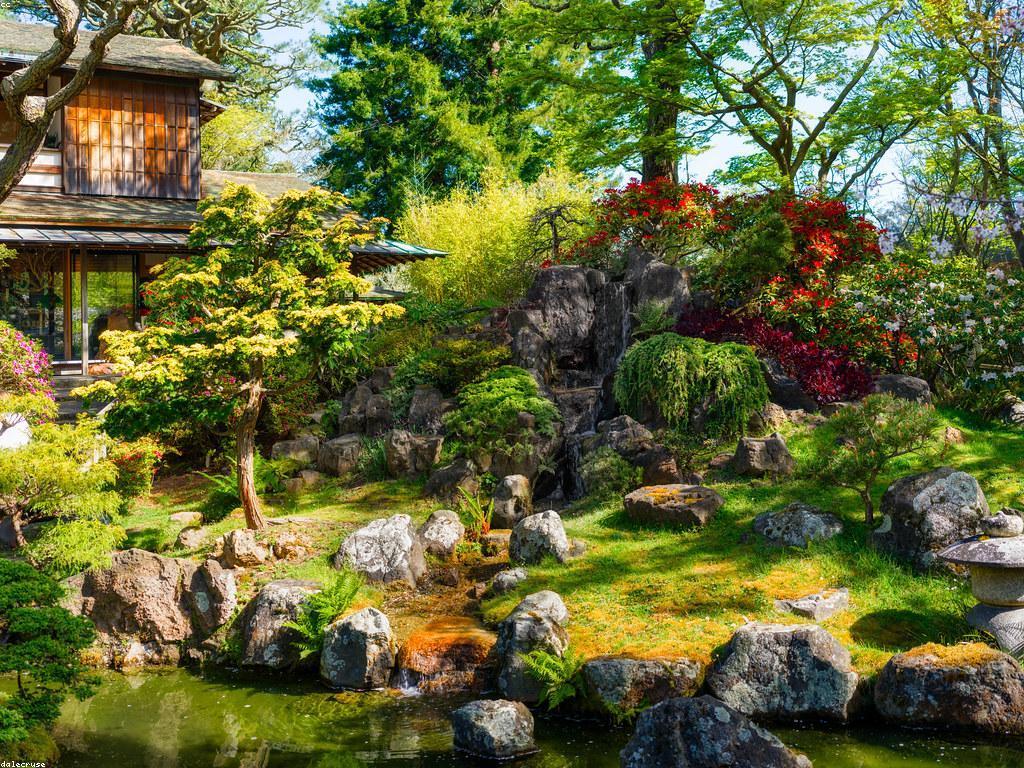 ប្រវត្តិសាស្ត្រនៃល្បែងក្នុងសង្គម