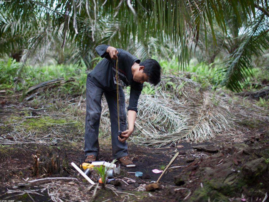 ឱកាសស៊ីសងសម្រាប់ការលូតលាស់ផ្ទាល់ខ្លួន